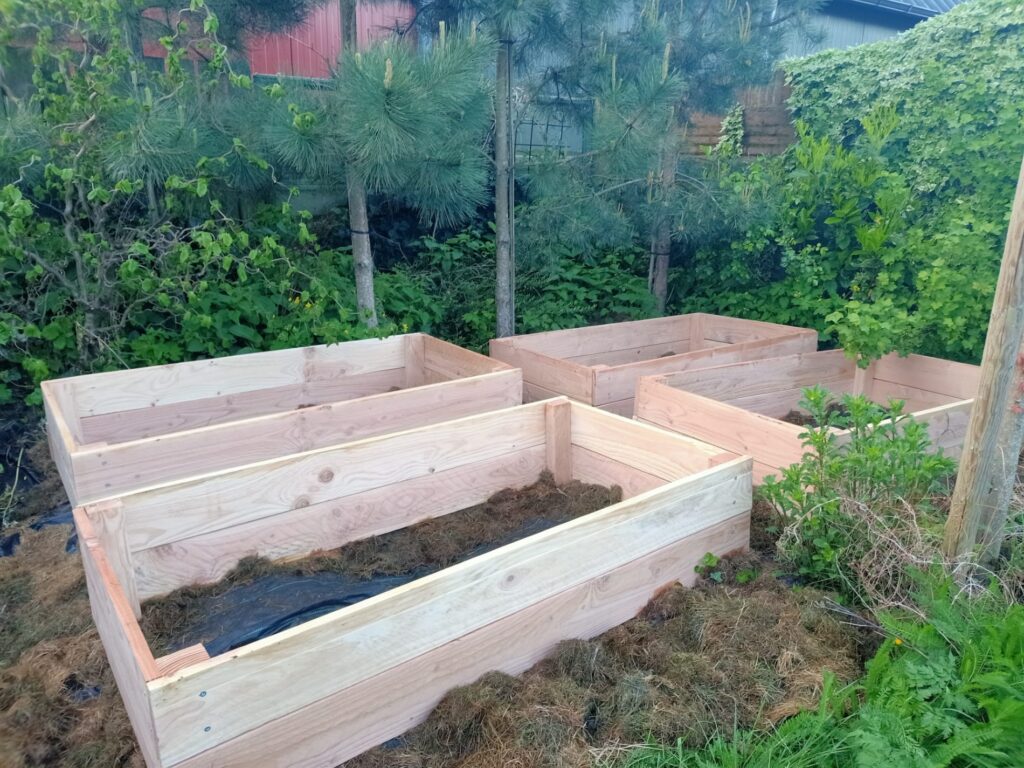 Moestuinbakken